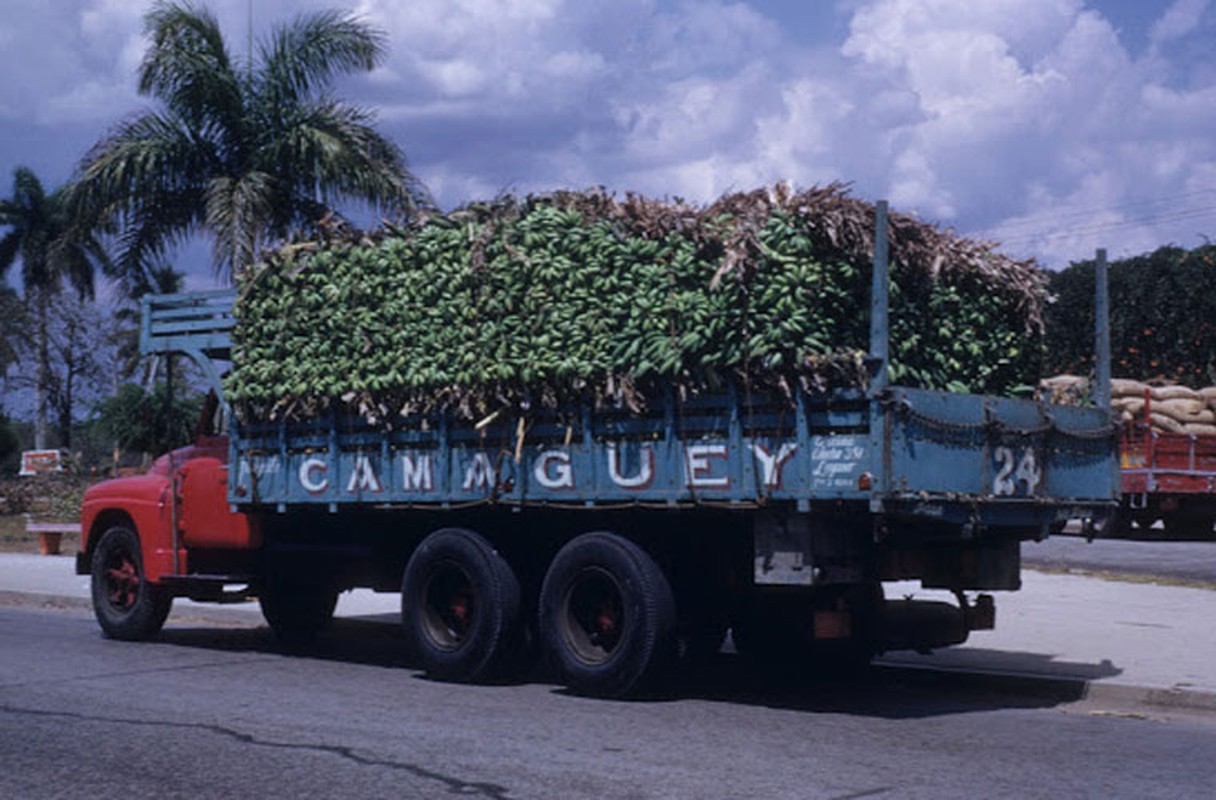 Dat nuoc Cuba nhung nam 1950 qua anh-Hinh-13